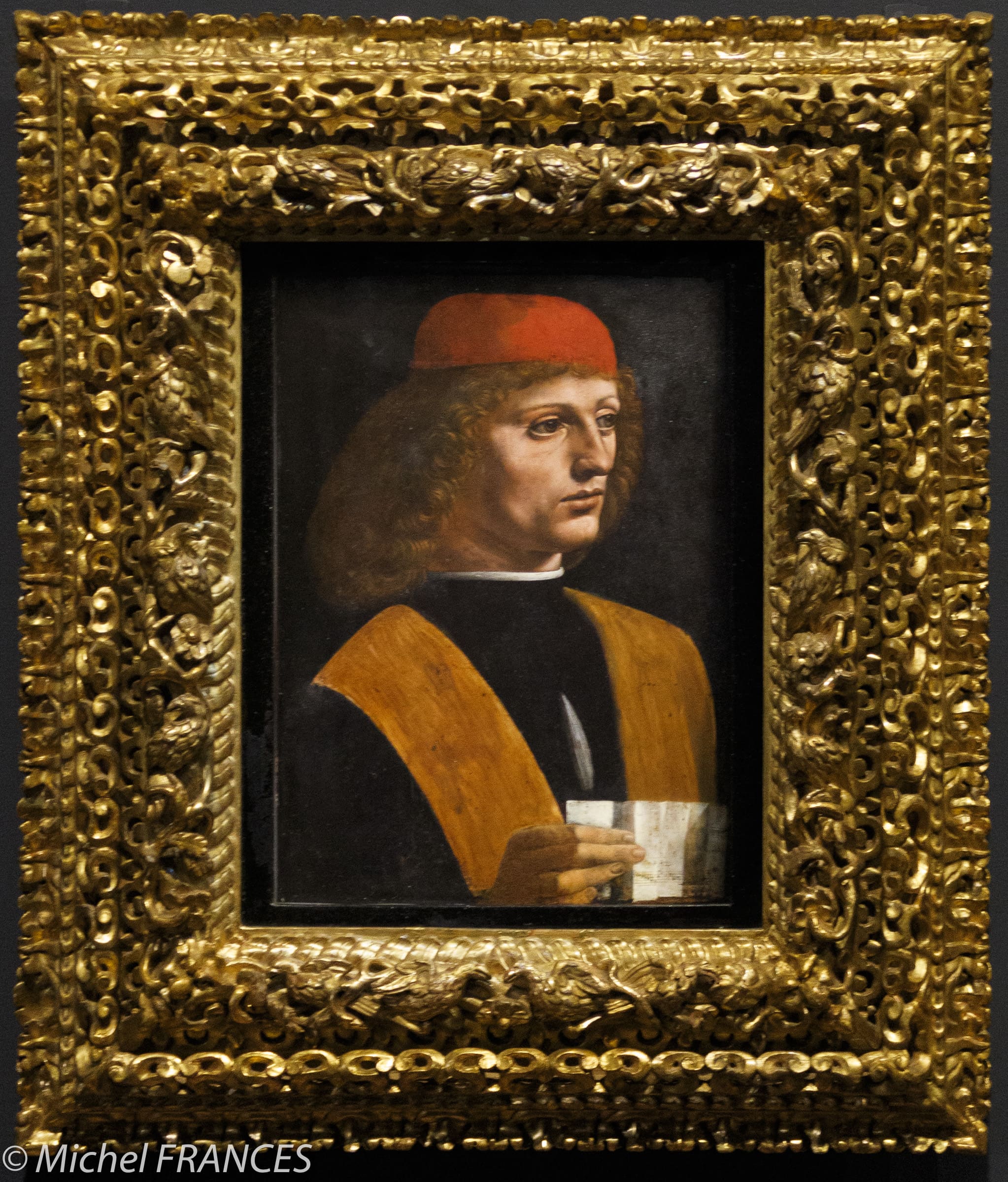 Léonard, De Vinci Au Louvre - Kermorvan.fr